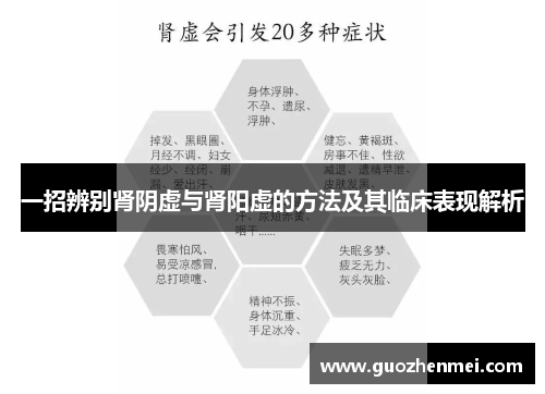 一招辨别肾阴虚与肾阳虚的方法及其临床表现解析