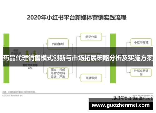 药品代理销售模式创新与市场拓展策略分析及实施方案